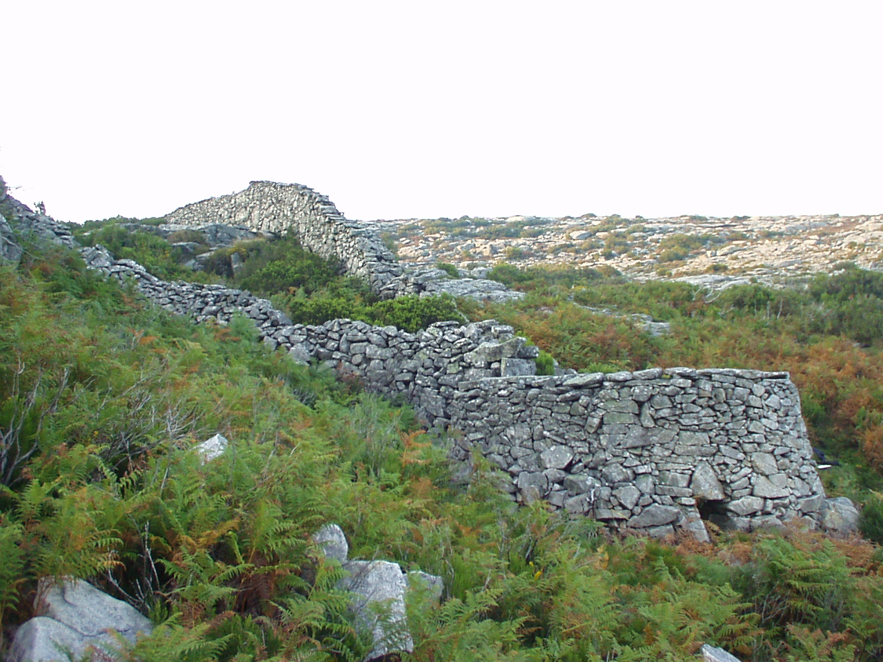 Complexo Agro-Silvo-Pastoril das Serras da Peneda e Soajo